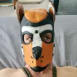 pupxoloxxx from onlyfans